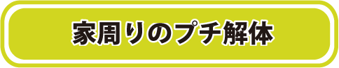 家周りのプチ解体